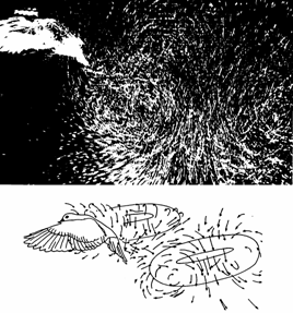 Illustration of a vortex wake