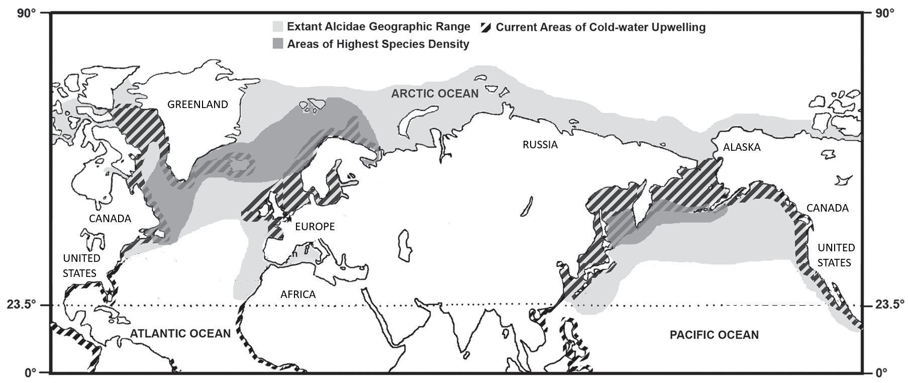 Alcidae geographic range