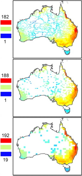 Colored maps showing avian species richness in Australia
