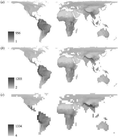 Colored maps showing variation in global species richness