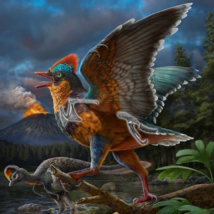 Baminornis