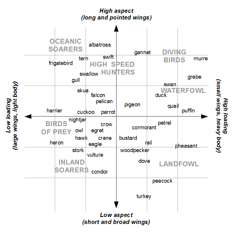 Graph showing how birds vary in aspect ratios and wing loading