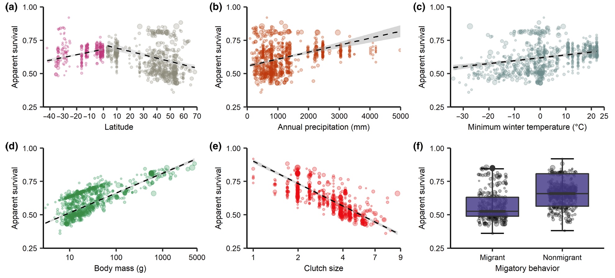 Factors influencing bird lifespans
