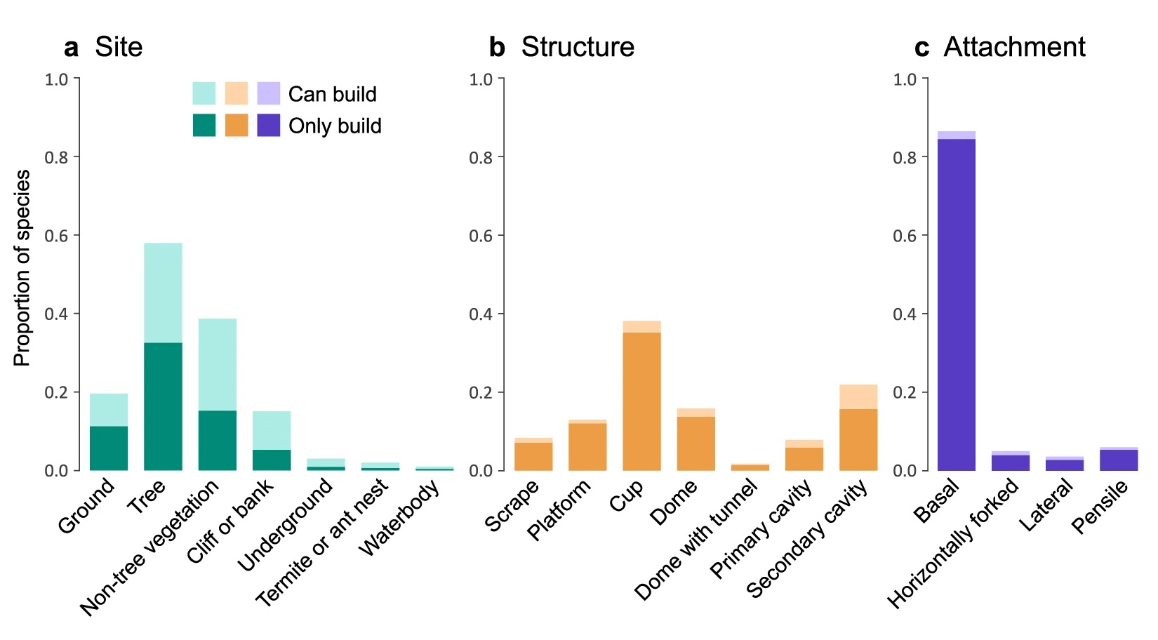 Different types of bird nests