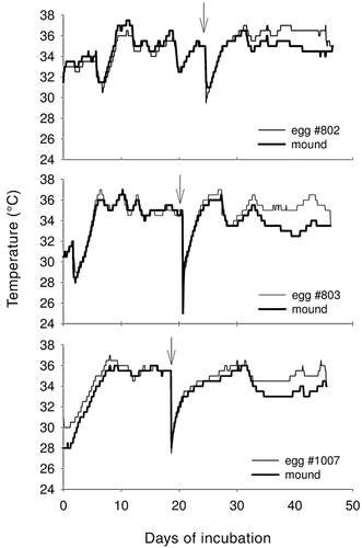 Graphs showing temperature fluctuation in three nest mounds during the incubation period of a brush-turkey