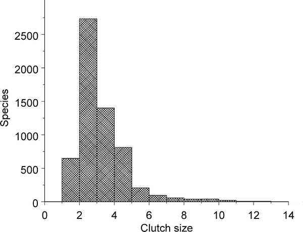 Bar graph showing frequency of different clutch sizes for 5290 species of birds
