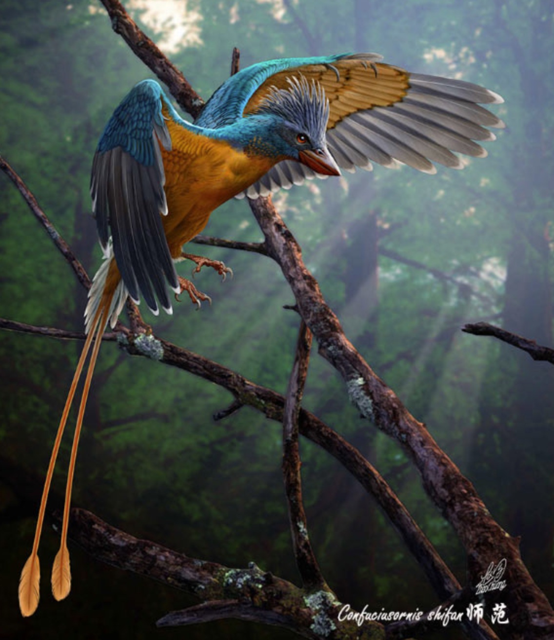Confuciousornis