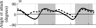 Wing's angle of attack for a dove flying at a speed of one meter per second