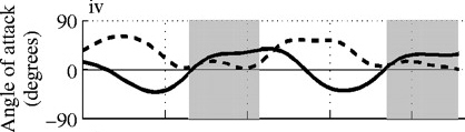 Wing's angle of attack for a dove flying at a speed of five meters per second