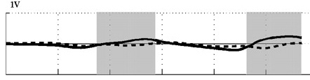 Wing's angle of attack for a dove flying at a speed of seventeen meters per second