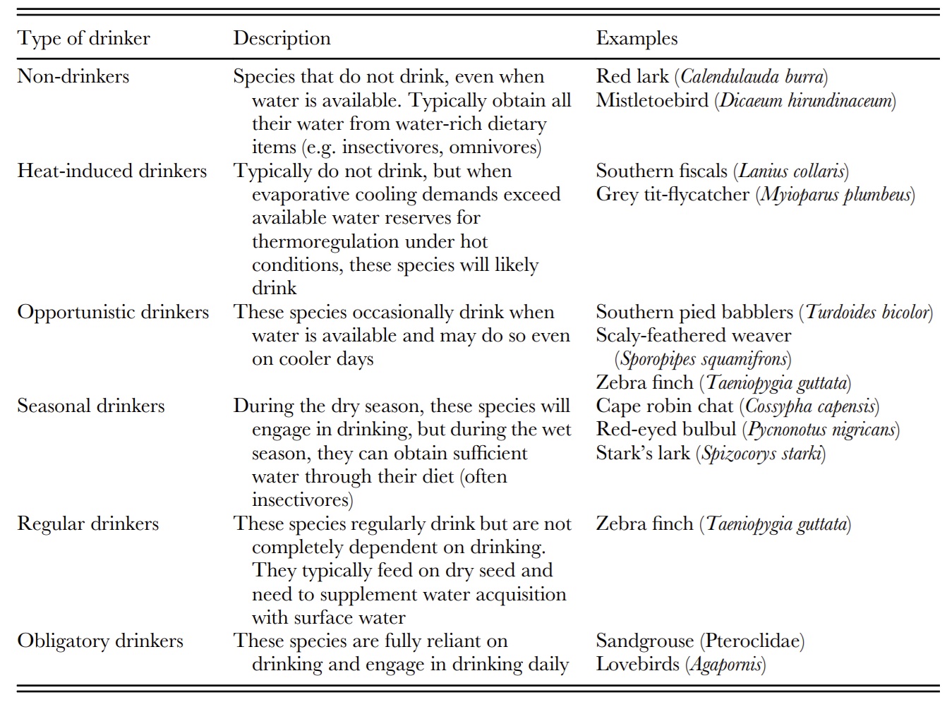 Avian drinking categories