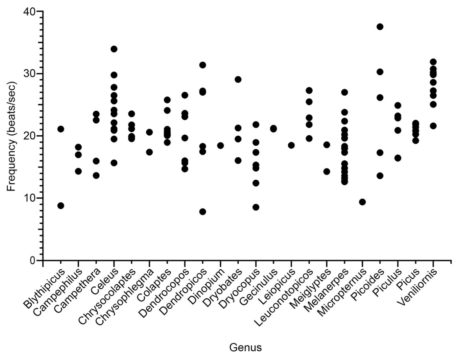 Drum frequency among several genera of woodpeckers