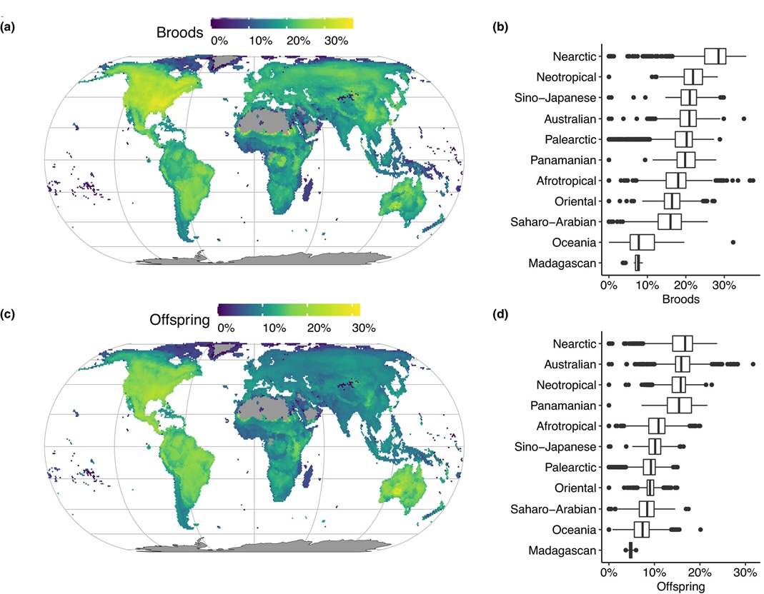 EPP versus latitude