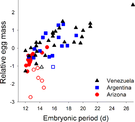 Graph showing relationship between egg mass and the duration of embryonic periods for birds in Venezuela, Argentina, and Arizona