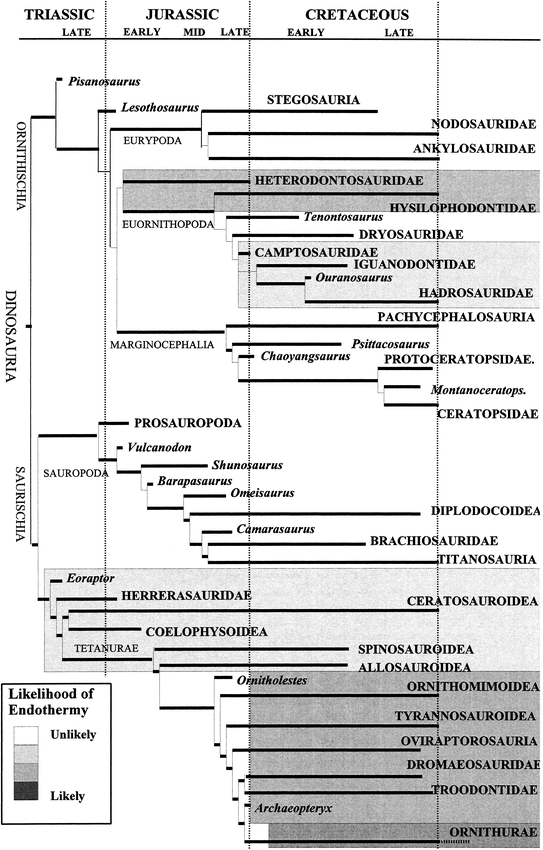 Evolution of endothermy