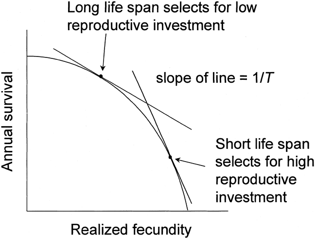 Graph showing relationship between annual survival and realized fecundity