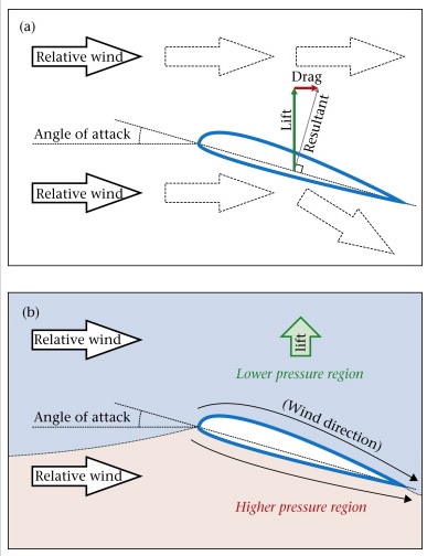 Drawings showing how wings create lift