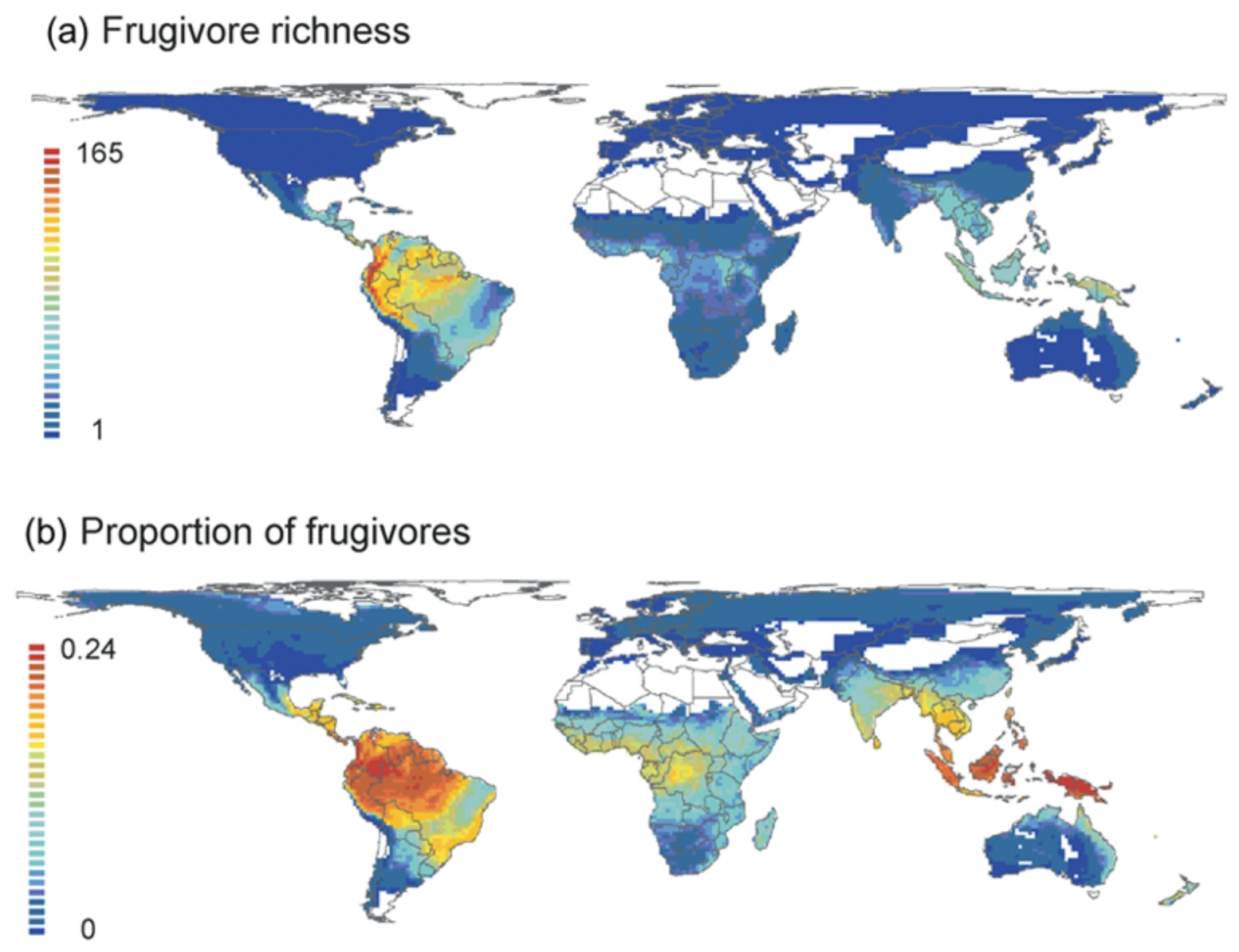 Global distribution of
 frugivores=