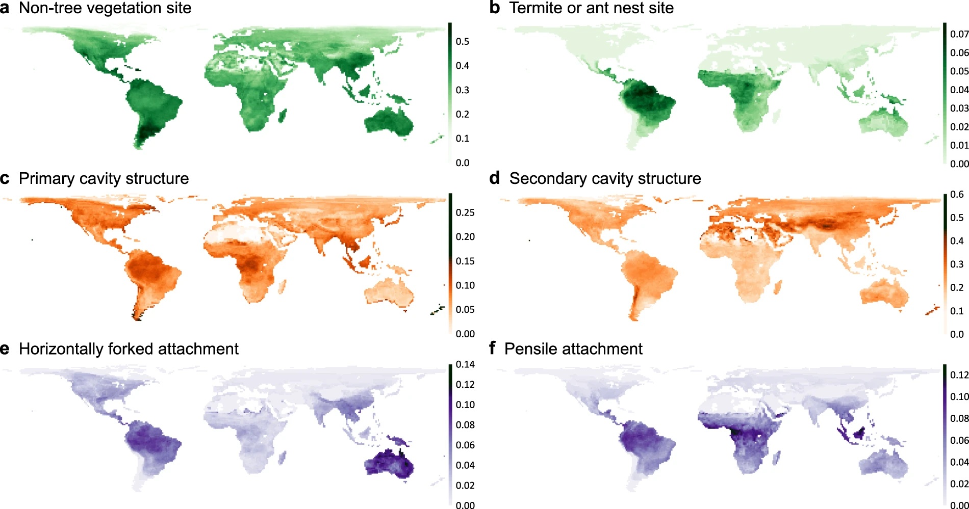 Global nest traits
