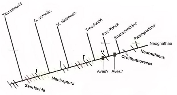 Hypothesized timeline for evolution of eggs and nesting behavior