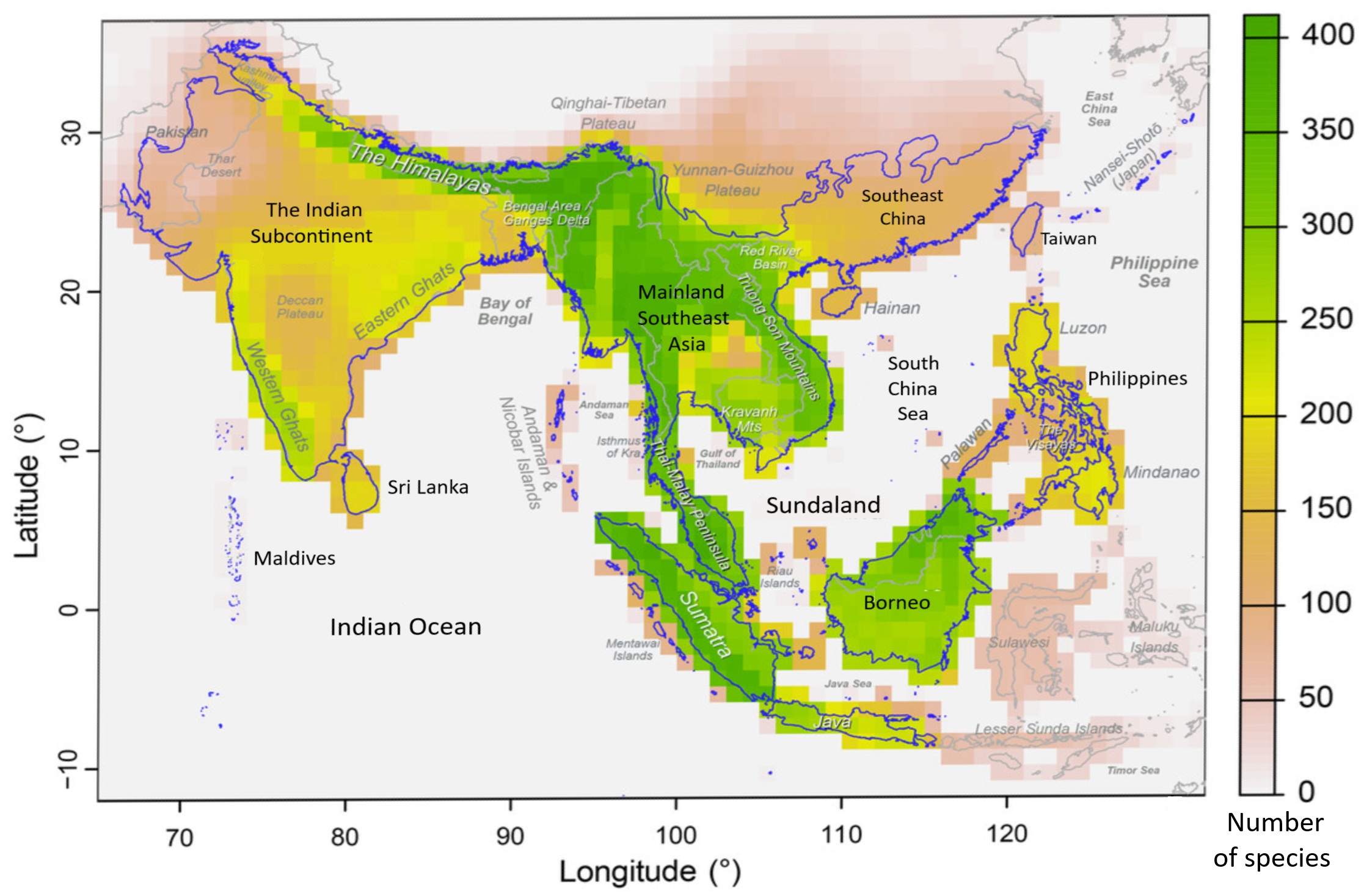 Species richness in Indomalaya