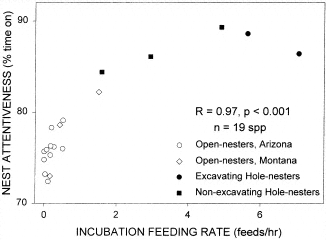 Graph showing relationship between rate of incubation feeding and nest attentiveness for 19 species of birds