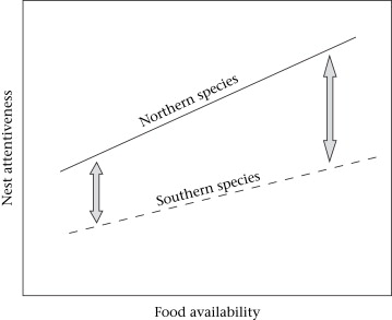 Graph showing relationships between food availability and nest attentiveness in southern species and northern species of birds
