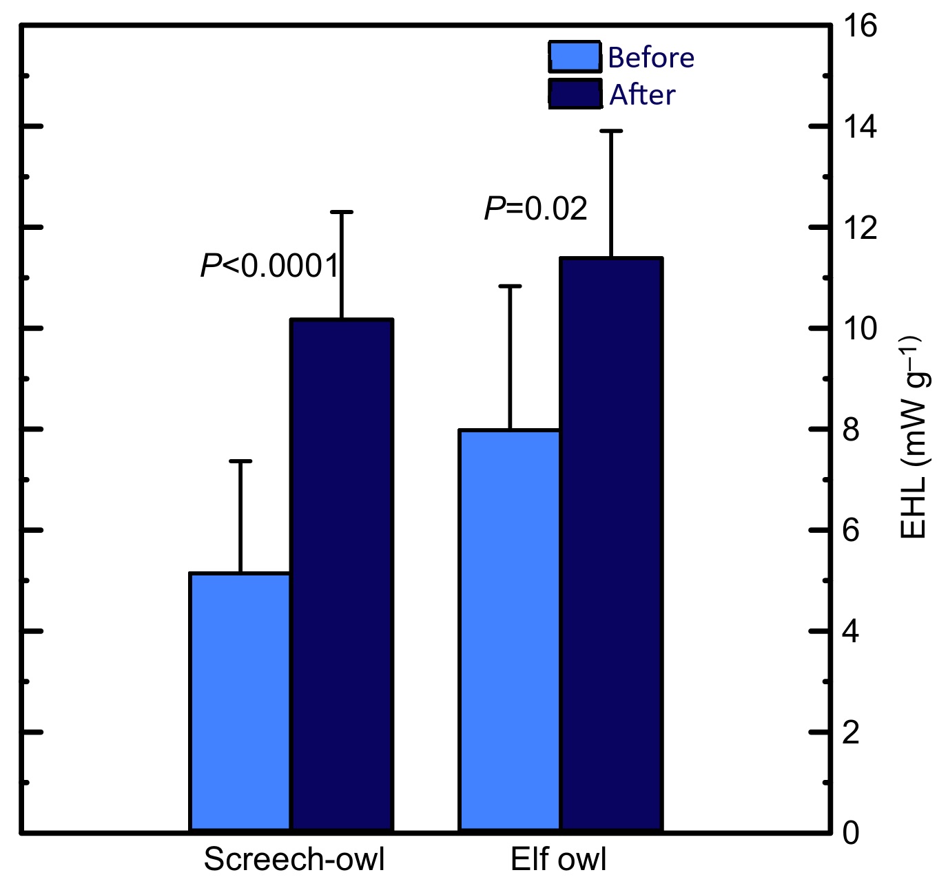 Heat loss via gular flutter in two species of owls