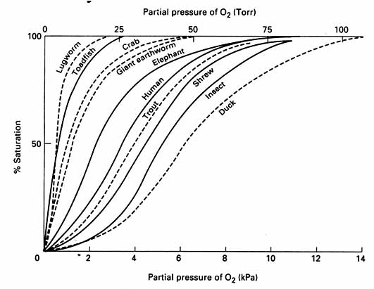 Graph plooting oxygen partial pressure versus percent hemoglobin saturation in several different animals