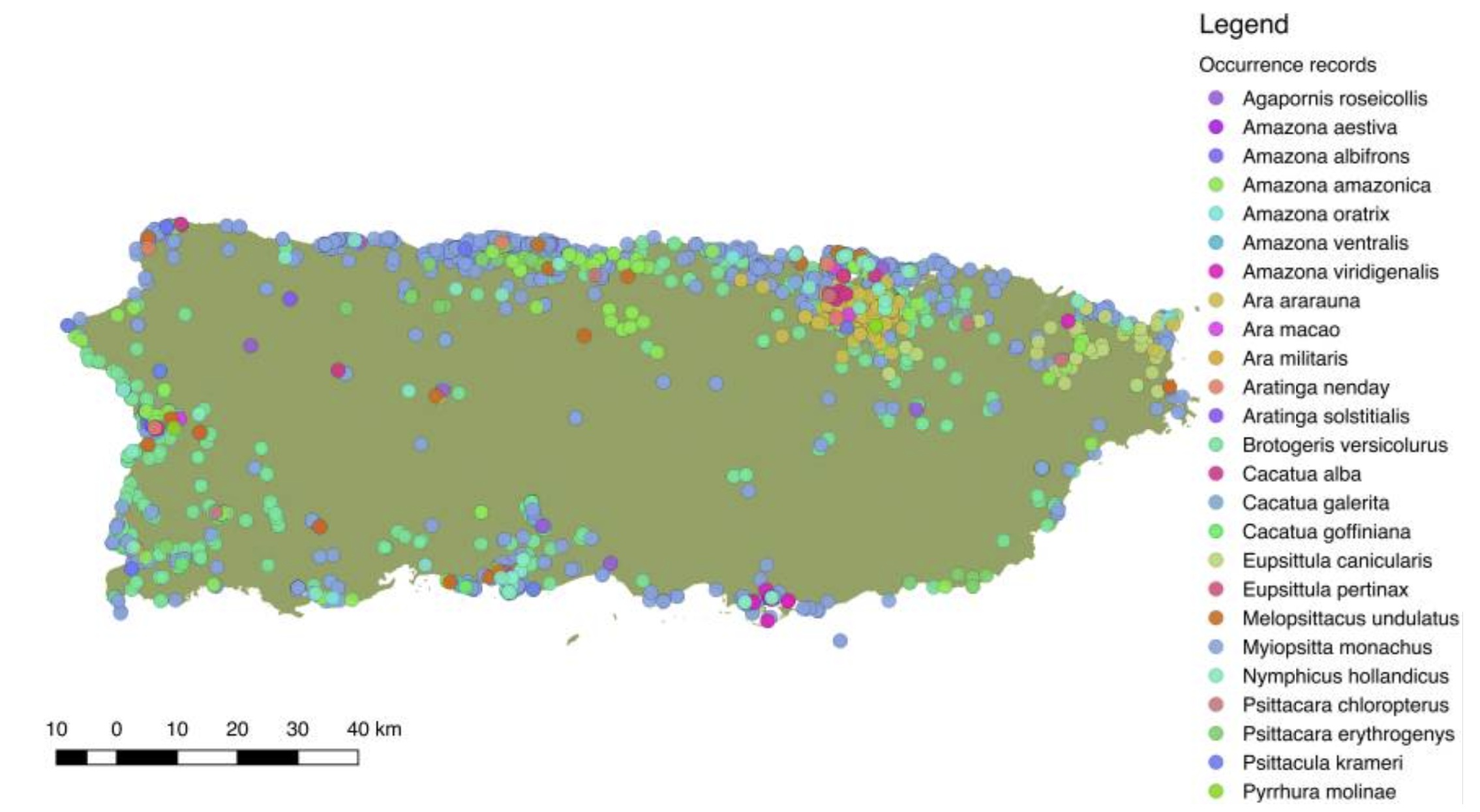 Locations of introduced Psittaciiformes in Puerto Rico