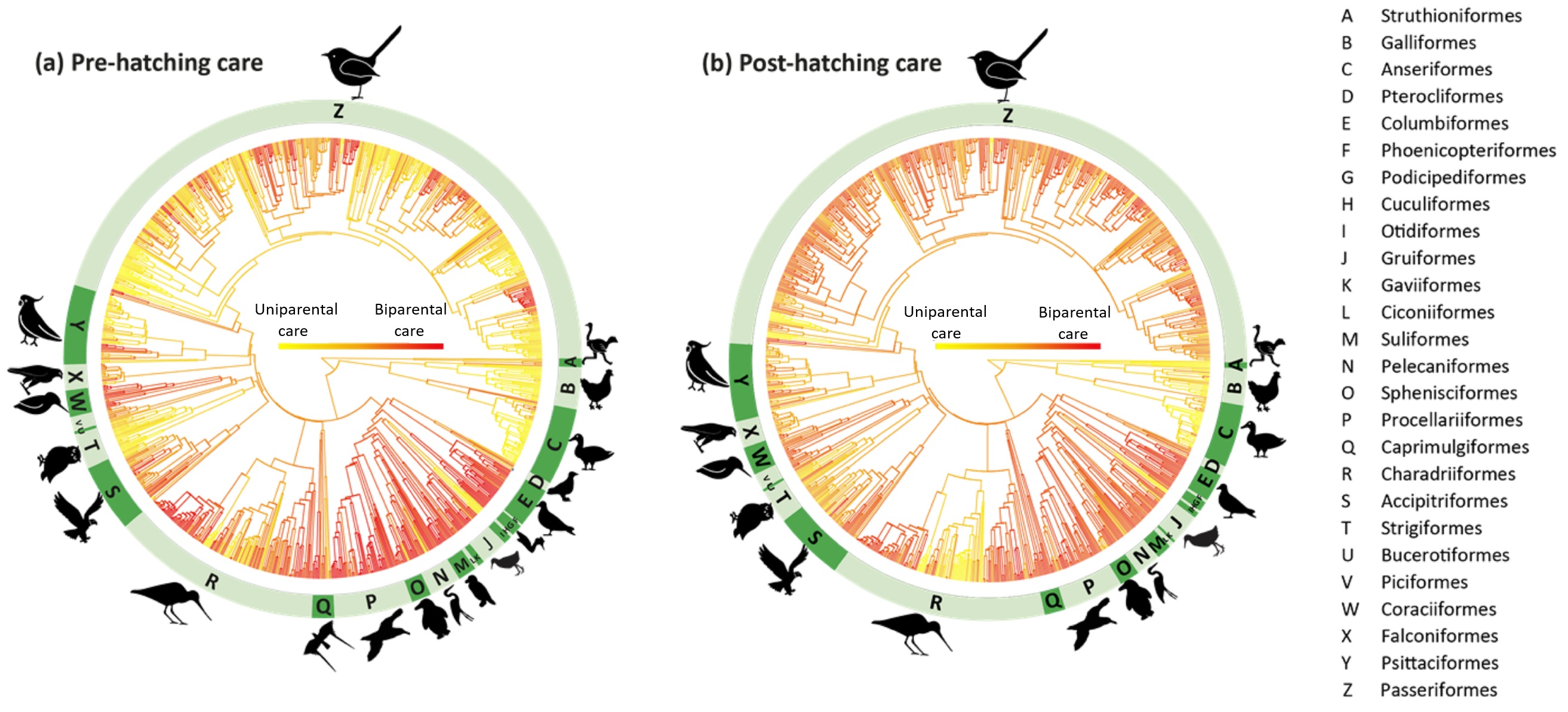 Forms of parental care