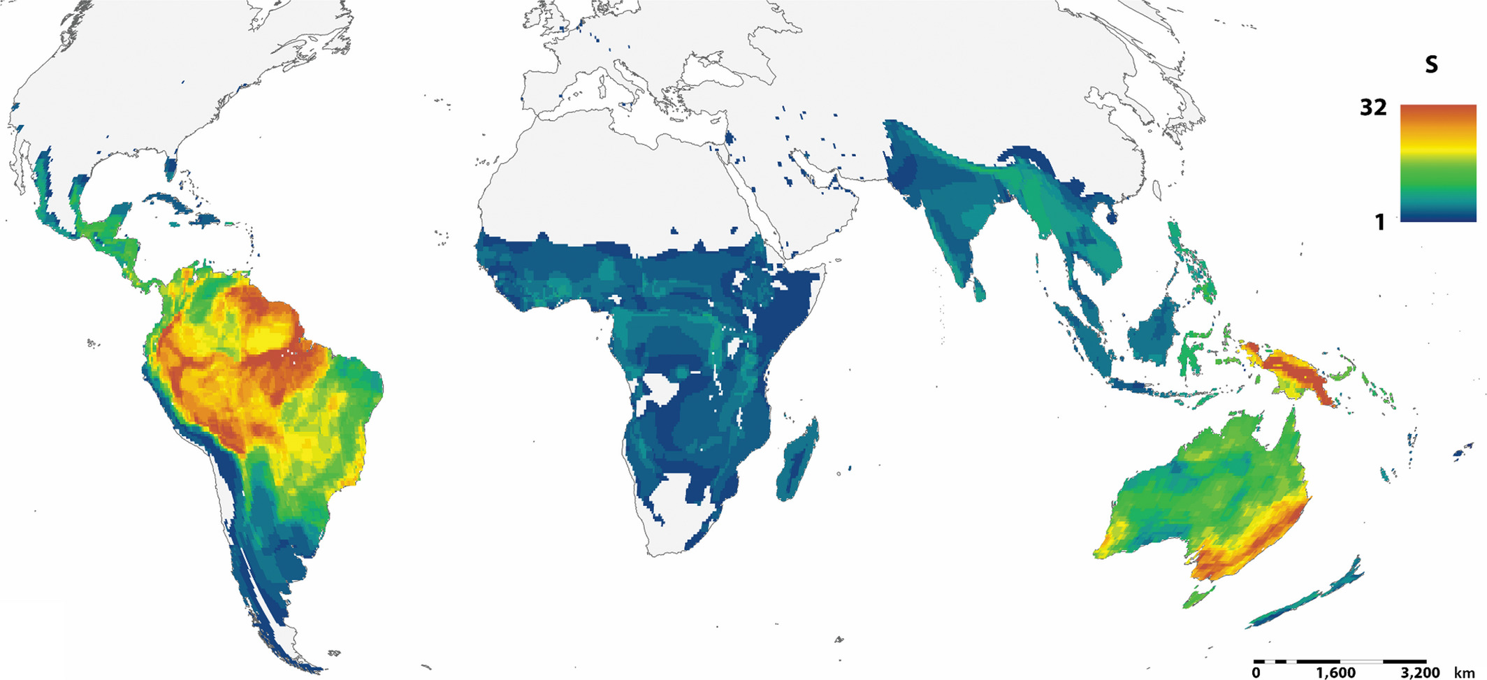 Worldwide distribution of parrots