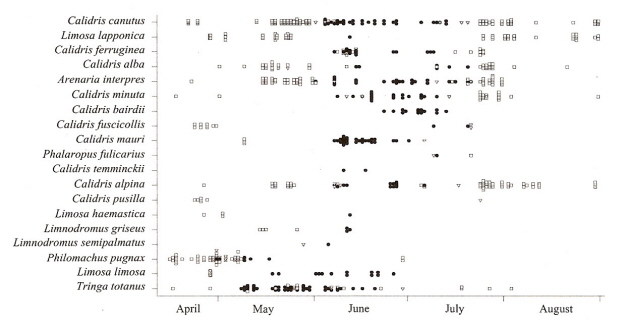 Graph showing how chemical composition of preen waxes changes during the breeding season for 19 species of sandpipers