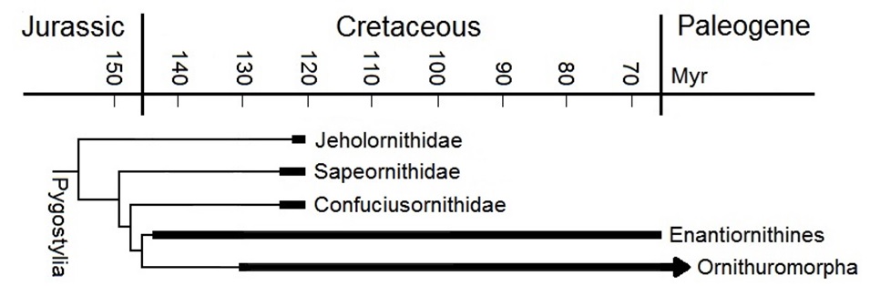 Pre-Cretaceous extinction bird taxa