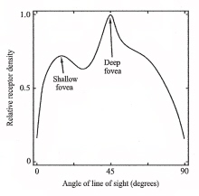 Graph showing relative densities of cones along the foveal plane of a falcon