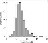 Graph showing frequency distribution of gizzard mass of 920 Red Knots