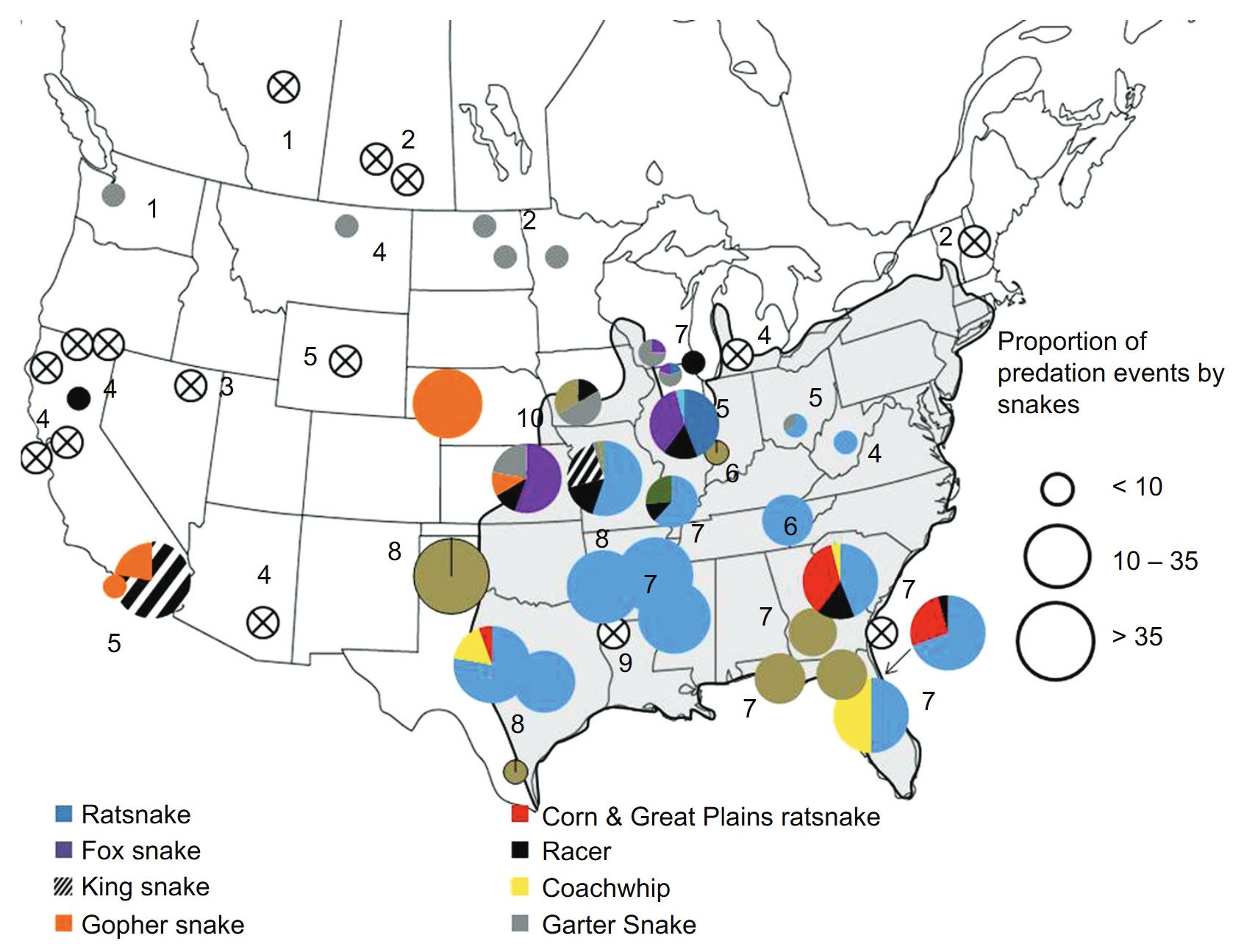 Snake predation of bird nests