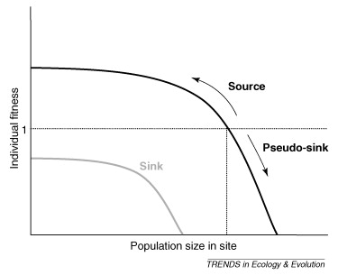 Graph showing relationship between population size and individual fitness