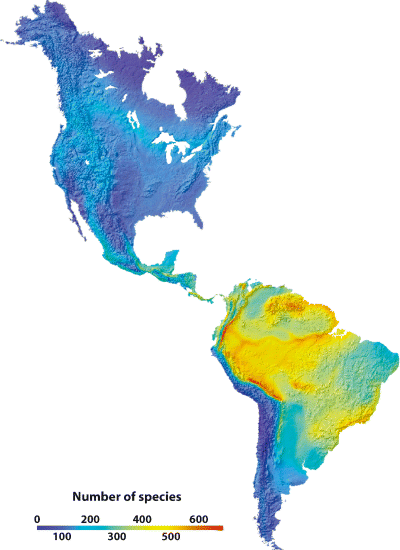 Colored map showing variation in bird species richness in the Western Hemisphere
