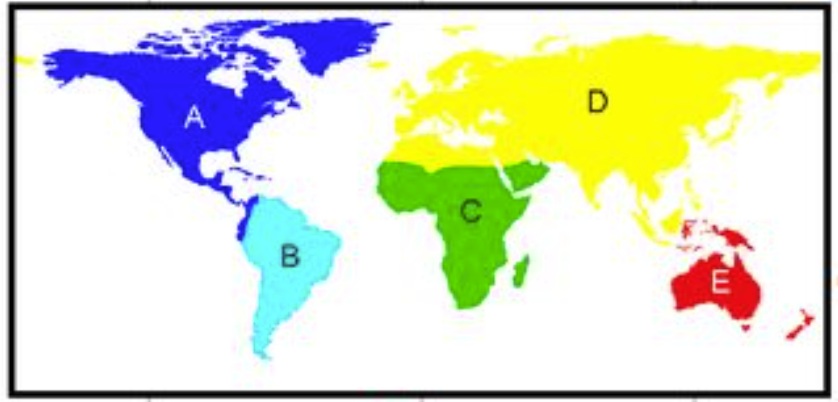 Distribution of suboscine birds