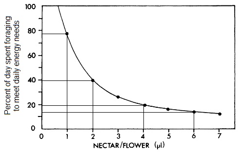 Graph showing relationship between the amount of nectar per flower and percent of day spent foraging by sunbirds