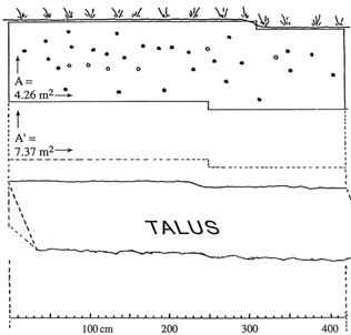 Drawing showing location of nest burrow entrances for a Bank Swallow colony