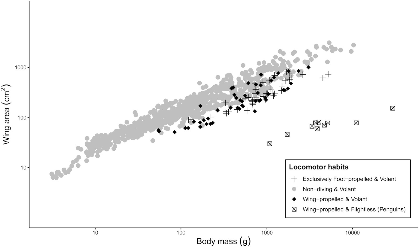 Wing loading of different birds