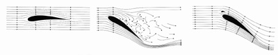 Three drawings showing how elevated alula feathers reduced turbulence and help maintain lift