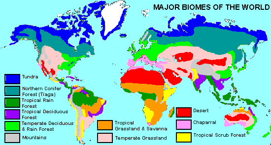 Major biomes of the world