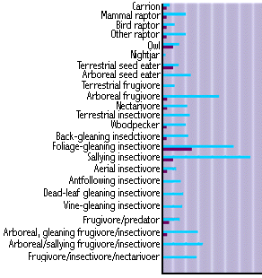 Figure showing abundance of different foraging guilds in the tropics