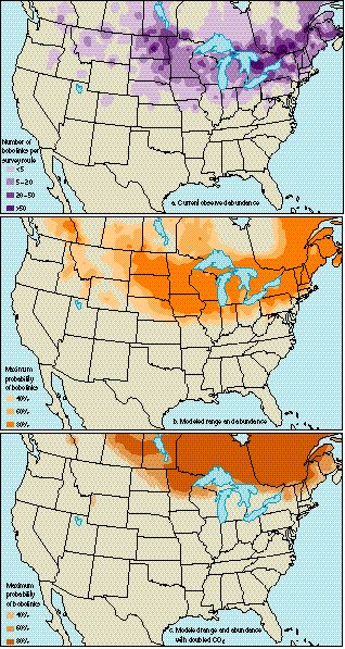 Colored maps showing current and future breeding ranges of Bobolinks