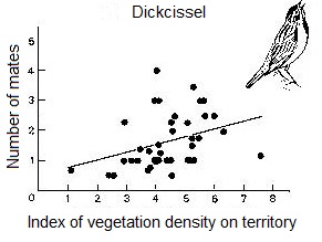 Graph showing relationship between vegetation density in territories and the number of mates of male Dickcissels