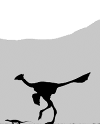  Animation illustrating one hypothesis concerning the origin of flight: cursorial