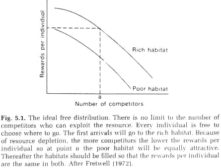 Graph showing relationship between number of competitors and rewards per individual